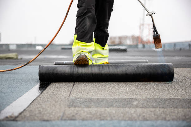 Best Roof Moss and Algae Removal  in Cherry Brah, NC